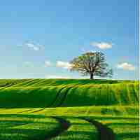 谷​歌﻿seo视‍频​教‍程﻿